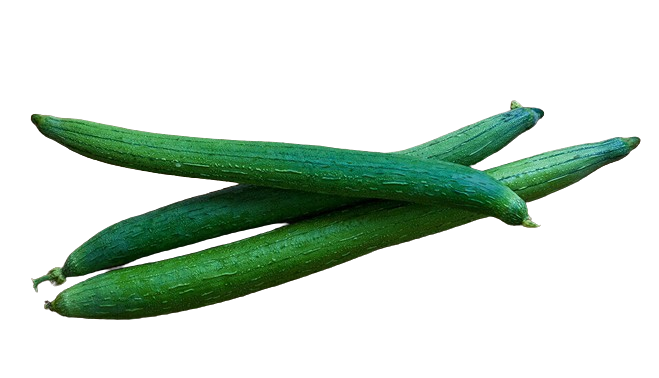 Gharaula